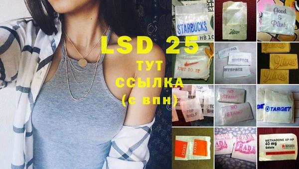 ПСИЛОЦИБИНОВЫЕ ГРИБЫ Лагань
