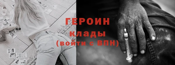 твердый Ладушкин