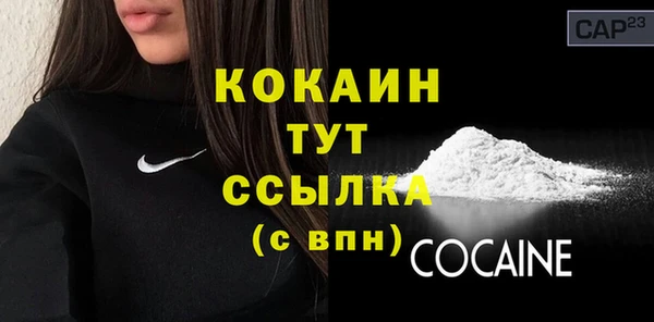 стаф Бердск
