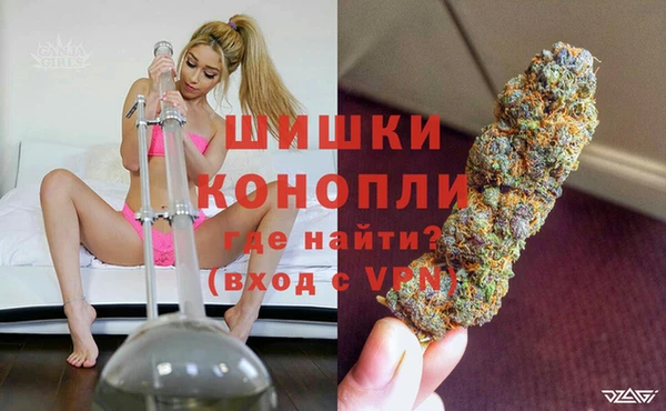 твердый Ладушкин
