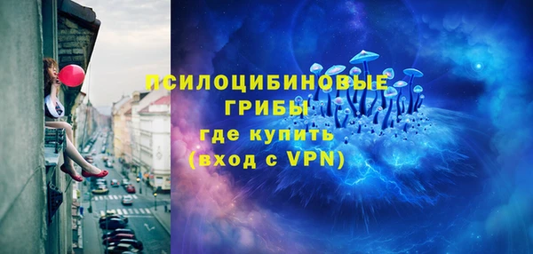 твердый Ладушкин