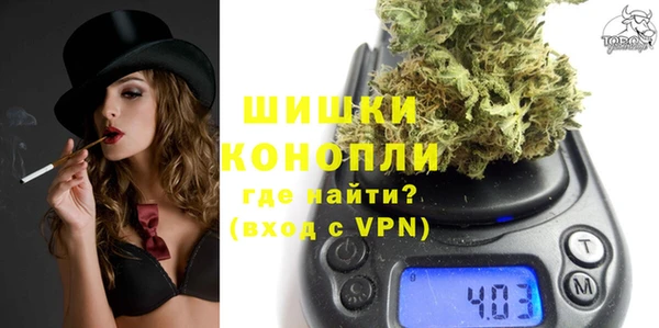 ПСИЛОЦИБИНОВЫЕ ГРИБЫ Лагань